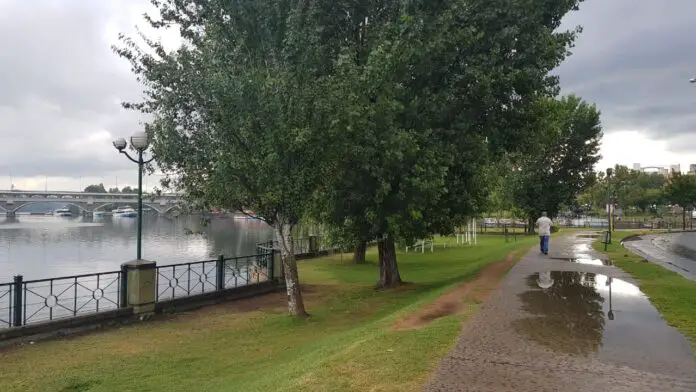 WhatsApp Image 2021-04-08 at 9.20.34 AM