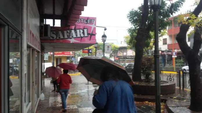 WhatsApp Image 2021-04-09 at 11.07.52 AM