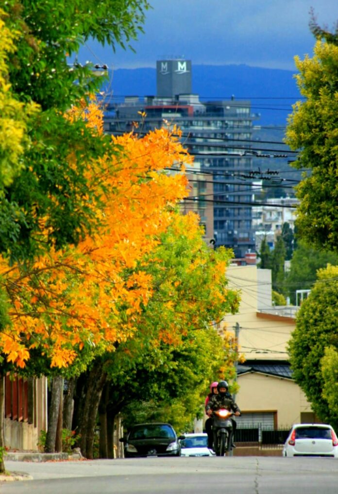 WhatsApp Image 2021-04-11 at 13.37.28