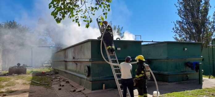 WhatsApp Image 2021-04-25 at 13.32.13