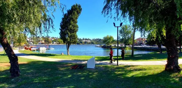 WhatsApp Image 2021-04-27 at 12.23.58