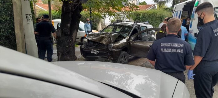 accidente arbol tapa