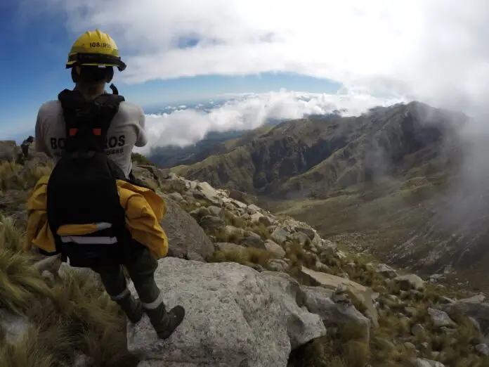 +champaqui extraviado