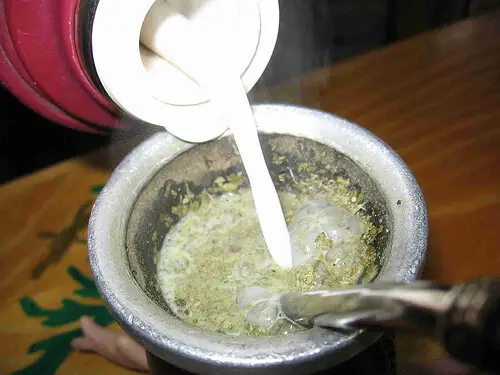 Mate-de-leche