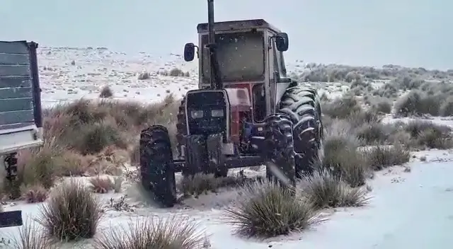 VideoCapture_20210626-110729-01