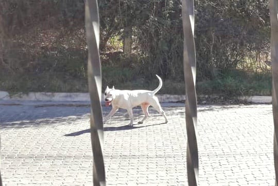 WhatsApp Image 2021-06-07 at 6.01.56 PM (1)