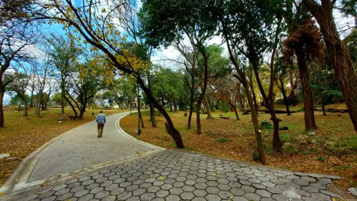 WhatsApp Image 2021-06-13 at 11.17.31 AM