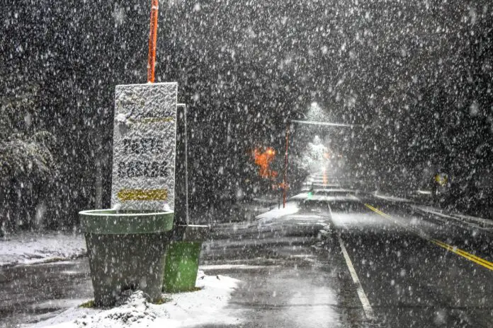 WhatsApp Image 2021-06-16 at 6.55.27 AM (4)