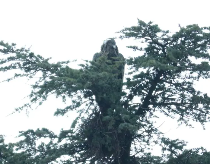 WhatsApp Image 2021-06-18 at 6.14.56 PM