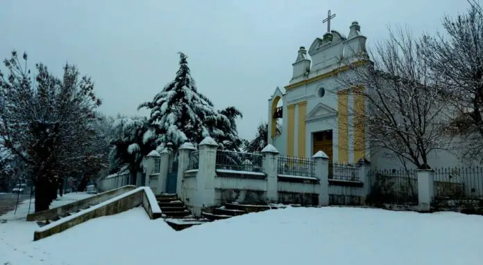 WhatsApp Image 2021-06-25 at 12.15.36