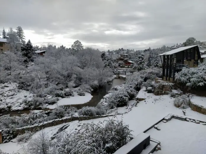 WhatsApp Image 2021-06-26 at 2.51.21 PM