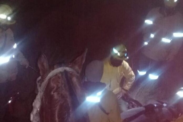 rescate villa giardino