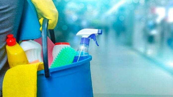 trabajadores domesticos