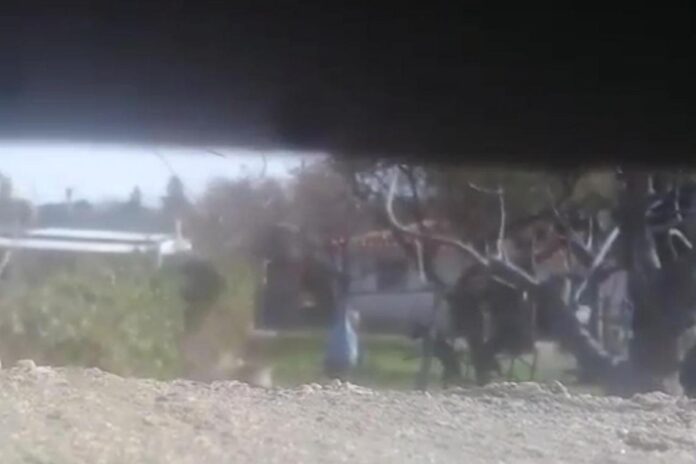 7c138e83-8734-4f0e-b157-93aa71cf141c1_large