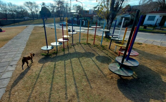 WhatsApp Image 2021-07-20 at 8.38.53 AM