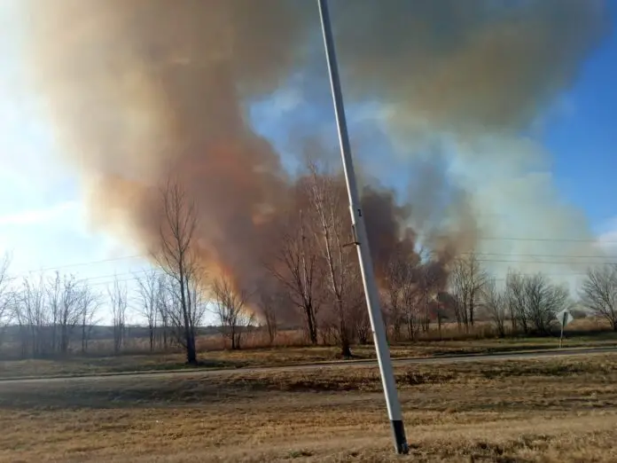 WhatsApp Image 2021-07-21 at 17.23.07