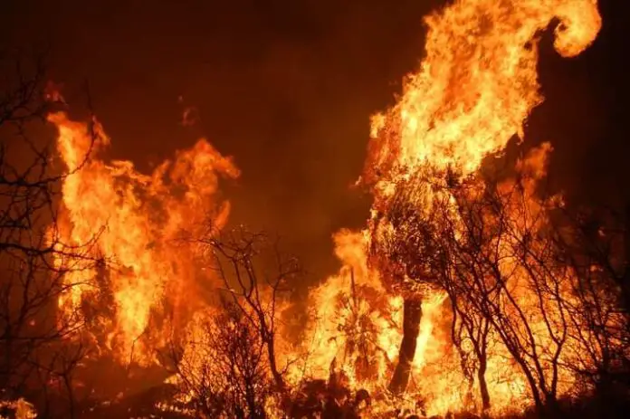 WhatsApp Image 2021-08-13 at 20.43.07