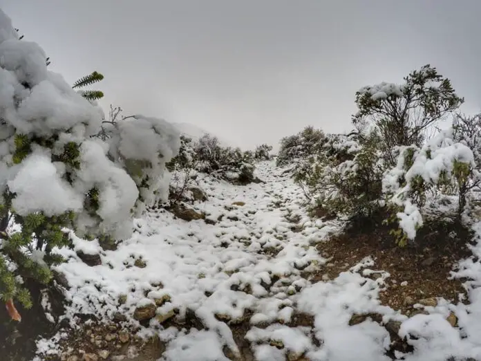 Nieve-Puesto Ferreyra-04