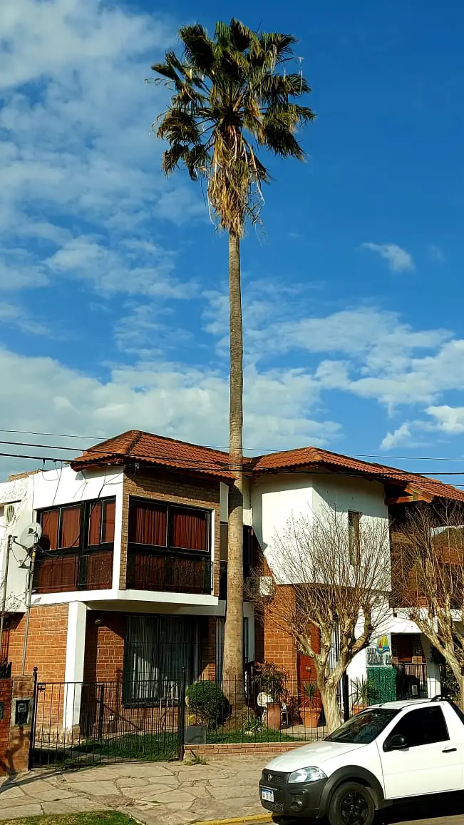 WhatsApp Image 2021-09-07 at 14.31.22 (1)