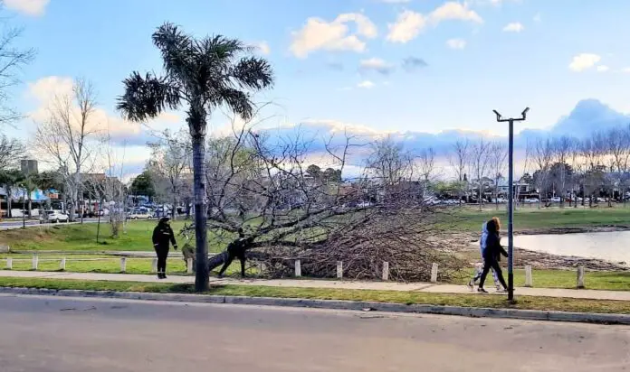 WhatsApp Image 2021-09-08 at 18.54.59