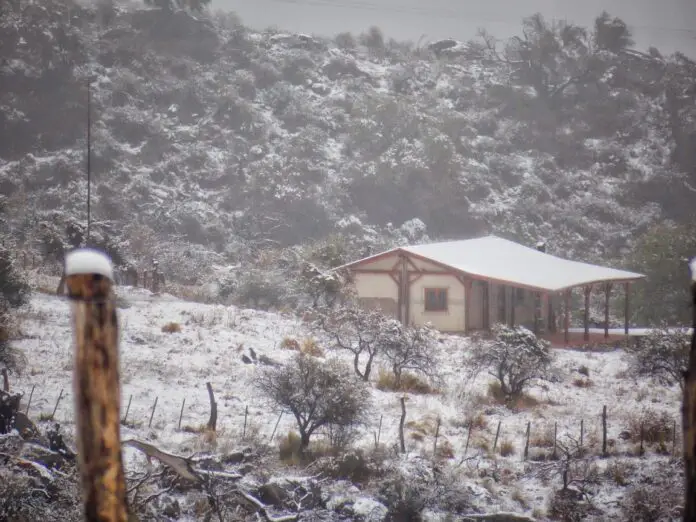 WhatsApp Image 2021-09-08 at 2.58.03 PM