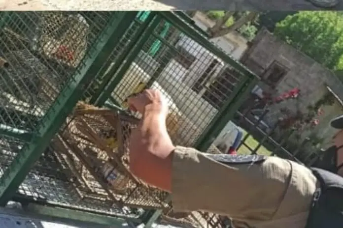 IMG-20211026-WA0057_large