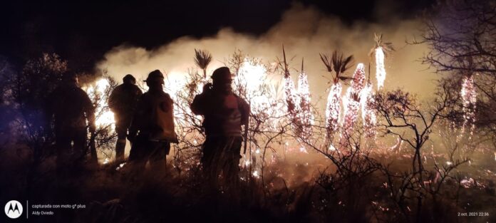 WhatsApp Image 2021-10-03 at 14.59.35