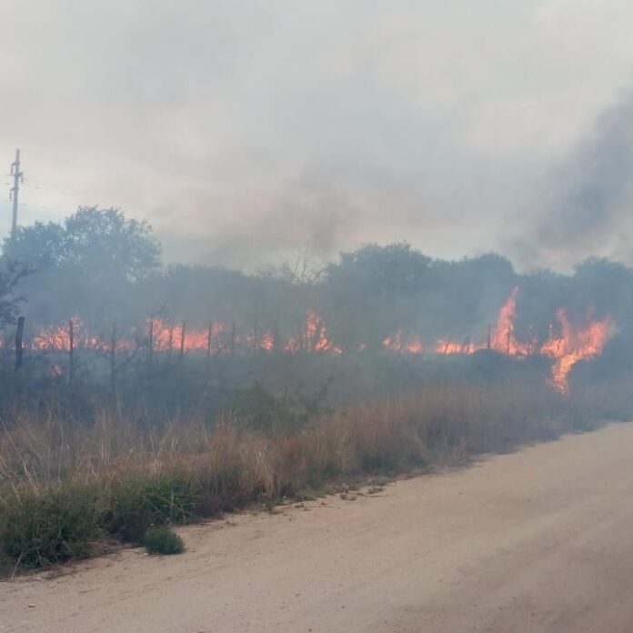 incendiotalacañada