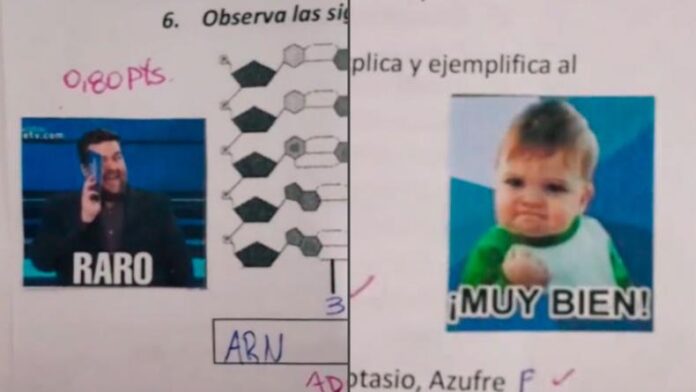 memes-evaluacion-profesora-viral