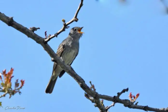 260252240_928114531142613_5337149742669208792_n_large