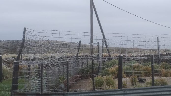 Fotos Hugo Merlo y Gustavo González