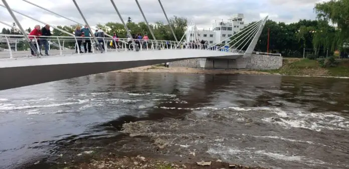 WhatsApp Image 2021-11-09 at 19.11.39 (3)