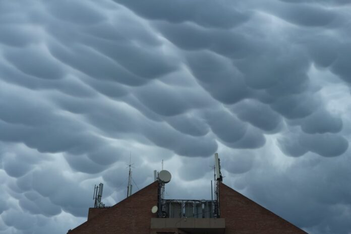 WhatsApp Image 2021-11-13 at 17.56.39