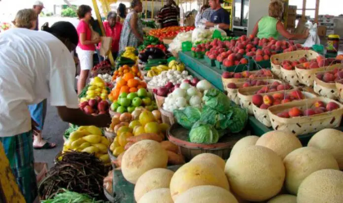 Feria-agroecologica-4