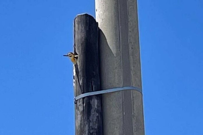 R5BJXGUPEVAMNGJPOXPJSD3JGE