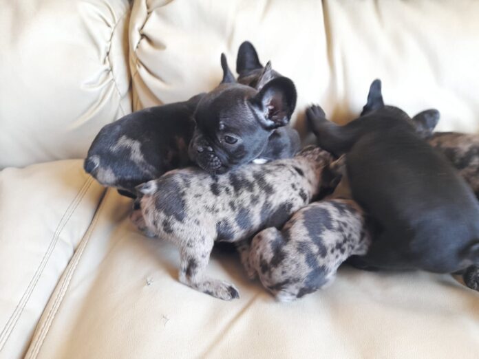 WhatsApp Image 2021-12-11 at 18.06.25