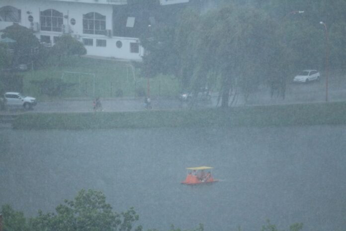 WhatsApp Image 2022-02-27 at 16.25.43