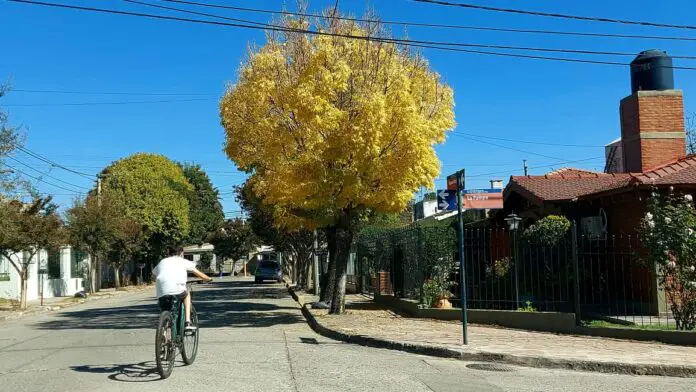 la-pampa-tiene-el-fresno