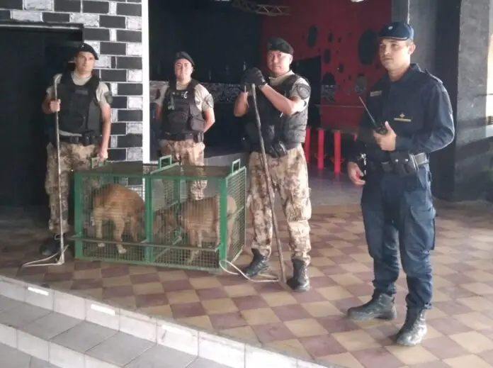 WhatsApp Image 2022-10-25 at 17.59.10