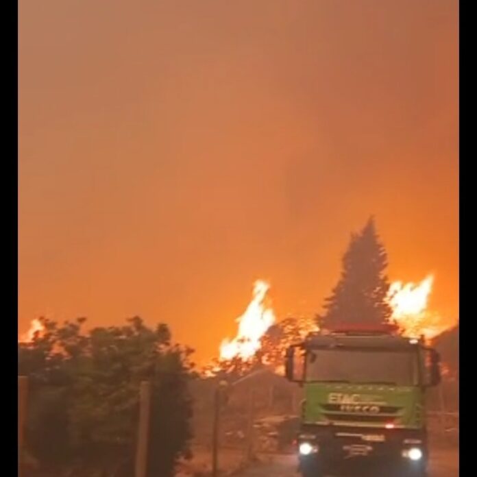 315707469_5980798035283897_2312556250863847028_n