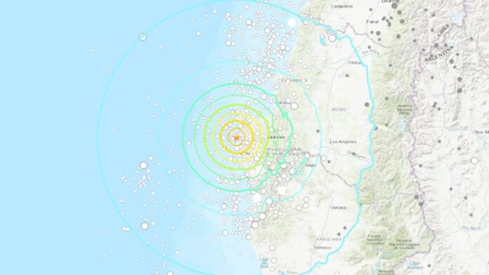 WhatsApp Image 2022-11-13 at 17.36.36