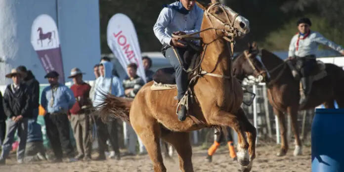 rsz_dbf_8655-750x375