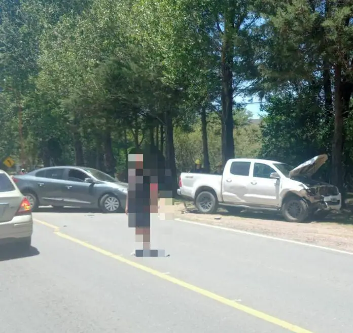 WhatsApp Image 2022-12-11 at 15.22.55