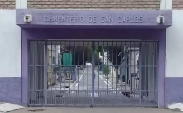 WhatsApp Image 2022-12-29 at 17.27.18