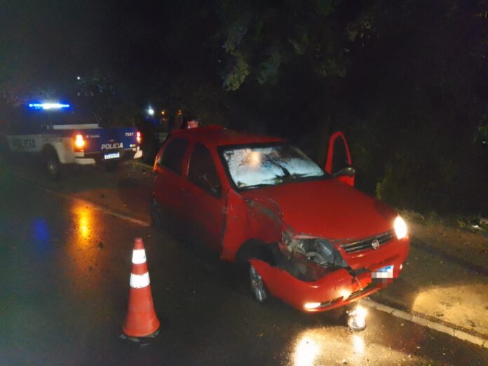 santa cruz del lago auto esquiva perro