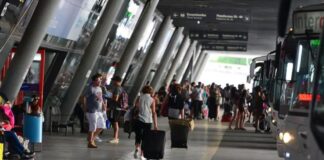 Elecciones: el transporte interurbano será gratuito para ir a votar