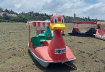 Una foto de la sequía en Carlos Paz: Pato al barro