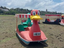 Una foto de la sequía en Carlos Paz: Pato al barro