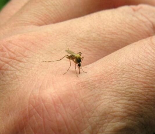 Comienzan a vacunar contra el dengue a personas de 15 a 59 años en Carlos Paz