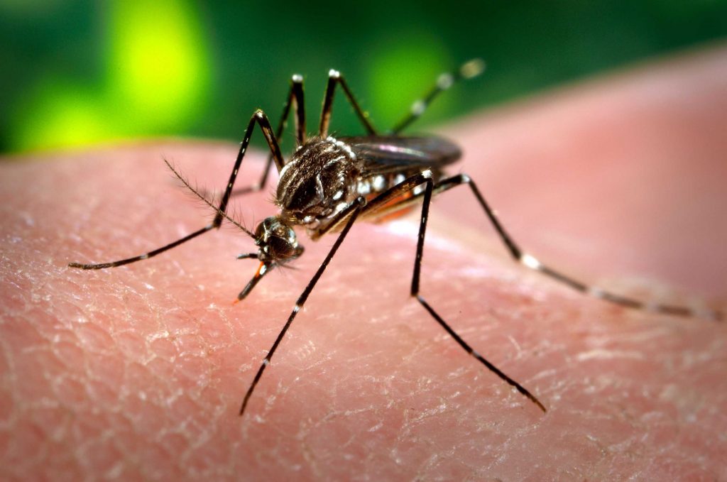 Córdoba presentó un plan de vacunación contra el Dengue